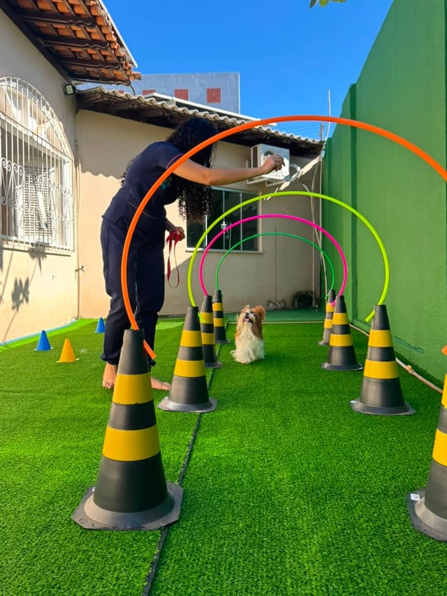 Profissional montando o circuito de argolas na grama